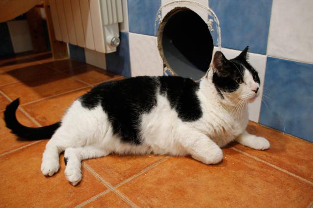 multimedia-foto40940-327-3