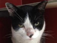 multimedia-foto40941-327-3