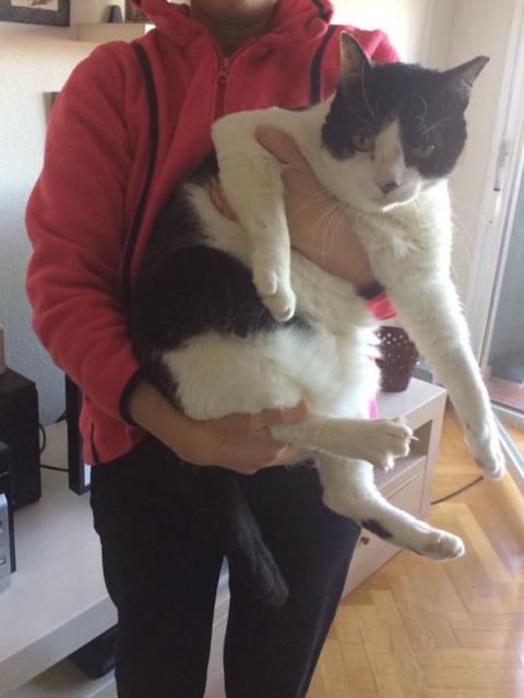 multimedia-foto40942-327-3