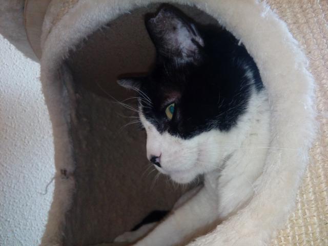 multimedia-foto40943-327-3