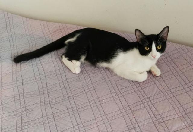 multimedia-foto40944-895-3