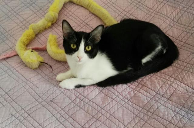 multimedia-foto40945-895-3