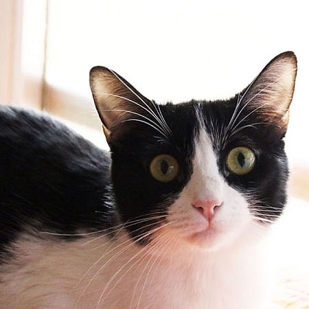 multimedia-foto40946-895-3