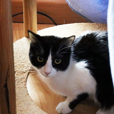 multimedia-foto40947-895-3