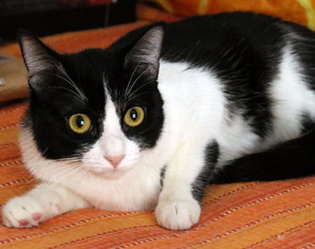 multimedia-foto40948-896-3