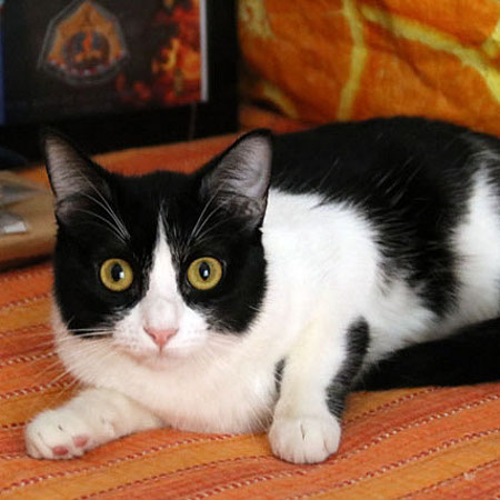 multimedia-foto40949-896-3