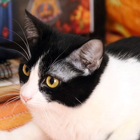 multimedia-foto40950-896-3