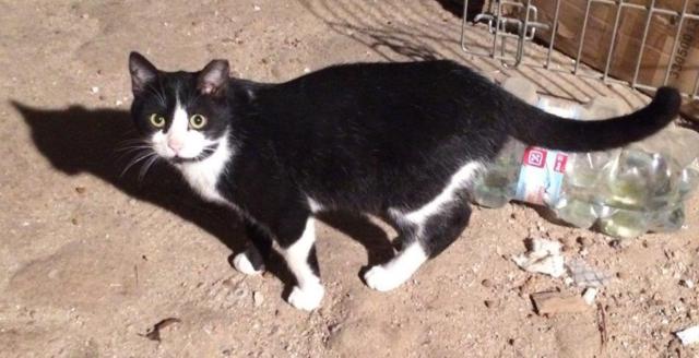 multimedia-foto41001-462-3