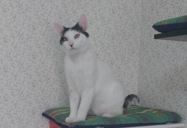 multimedia-foto41027-497-3