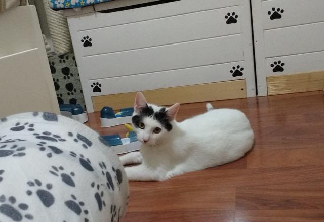 multimedia-foto41028-497-3