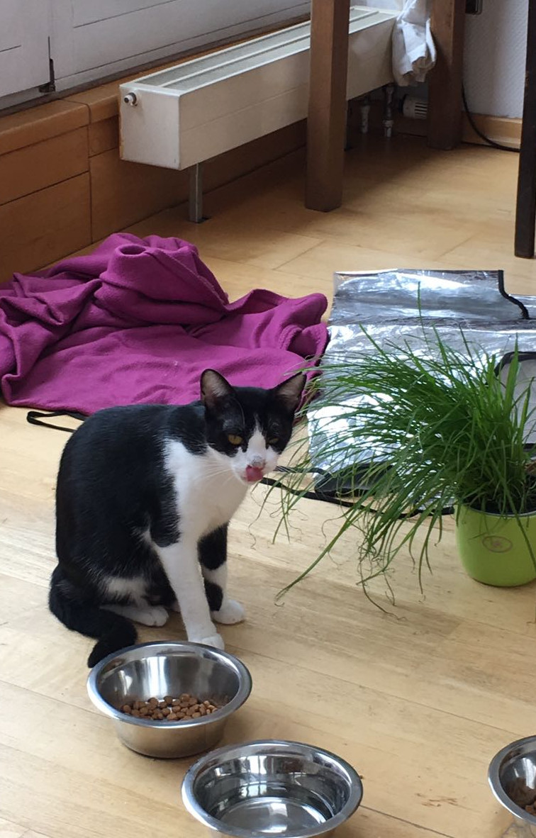 multimedia-foto41030-497-3