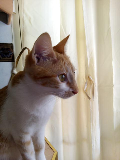 multimedia-foto41034-56-3