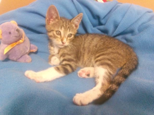 multimedia-foto41060-538-3