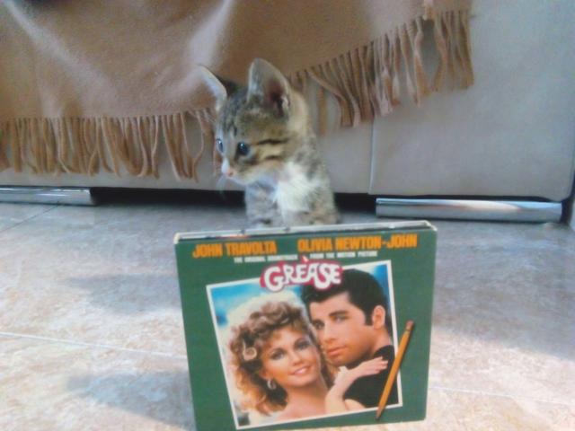 multimedia-foto41061-538-3