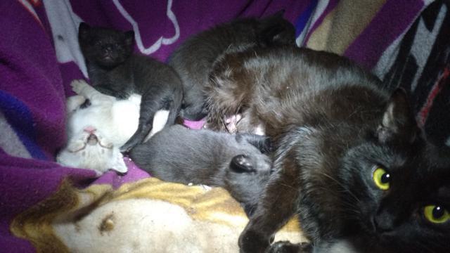 multimedia-foto41065-125-3