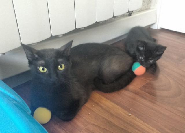 multimedia-foto41068-125-3