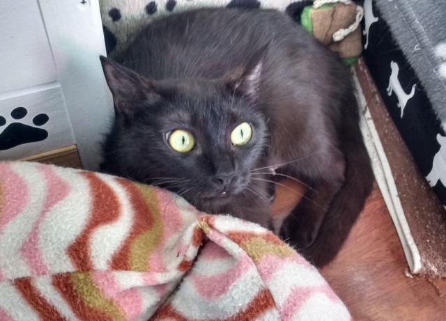 multimedia-foto41069-125-3