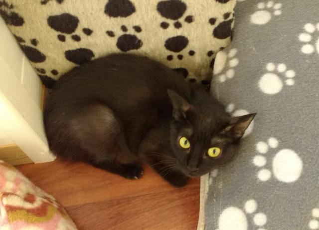 multimedia-foto41070-125-3