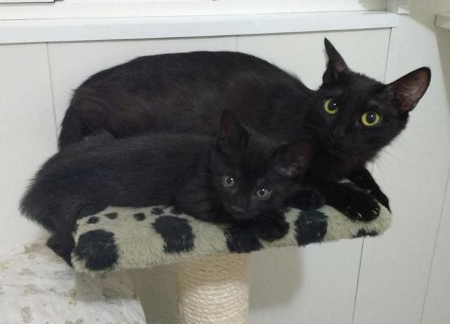 multimedia-foto41073-126-3