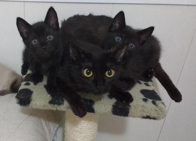 multimedia-foto41074-126-3