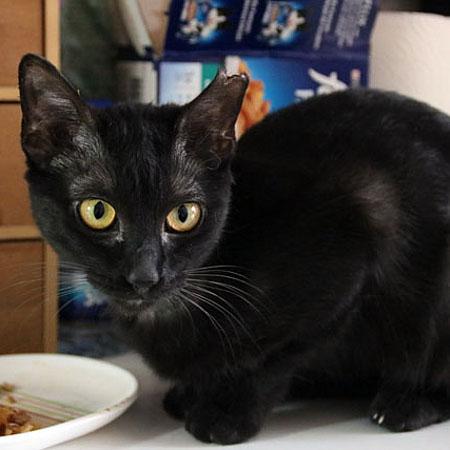 multimedia-foto41083-949-3