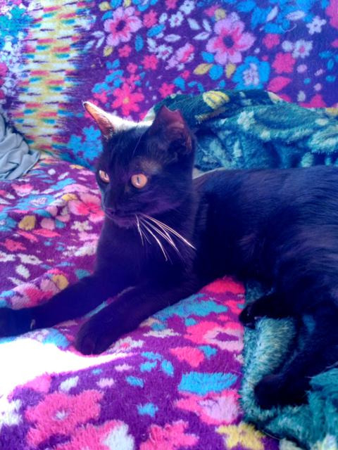 multimedia-foto41086-949-3