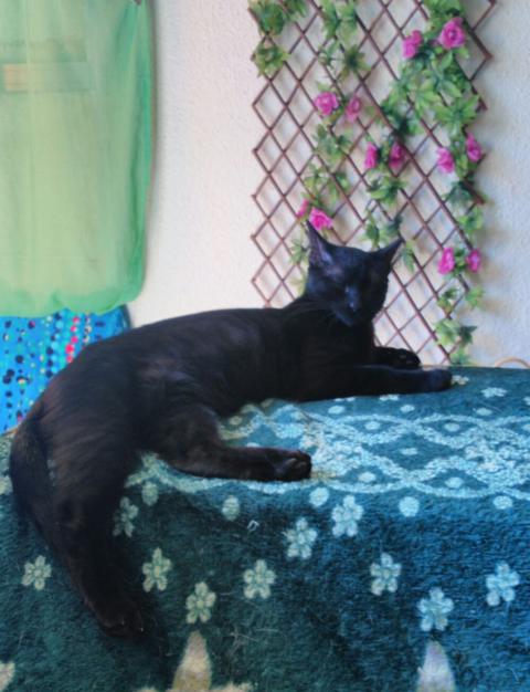 multimedia-foto41087-949-3