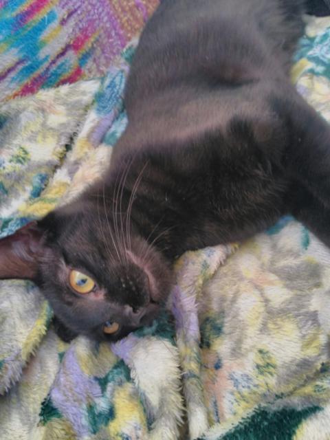 multimedia-foto41088-949-3