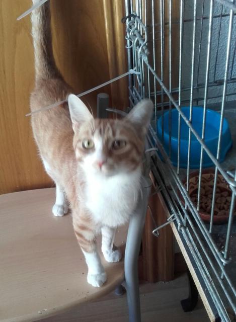 multimedia-foto41091-451-3