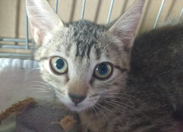 multimedia-foto41104-489-3