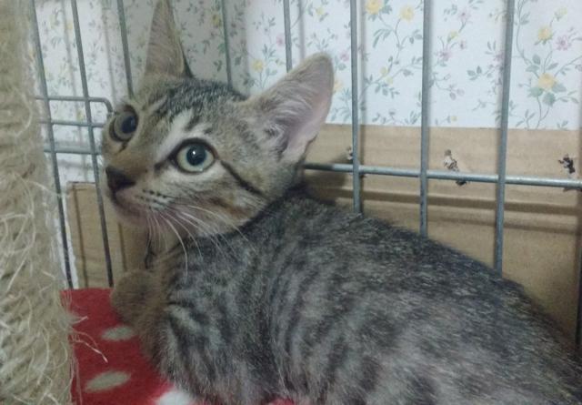 multimedia-foto41105-489-3