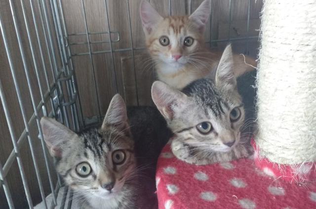 multimedia-foto41107-503-3