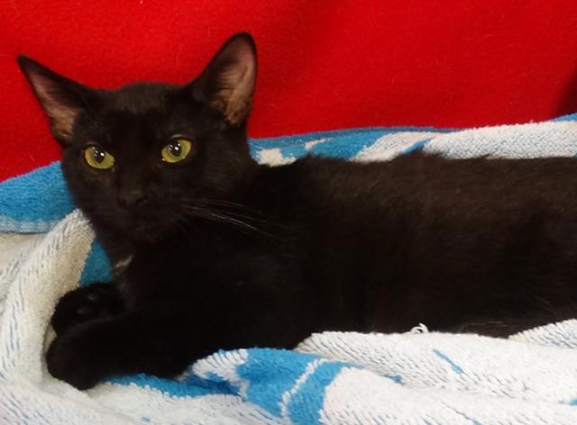 multimedia-foto41126-498-3