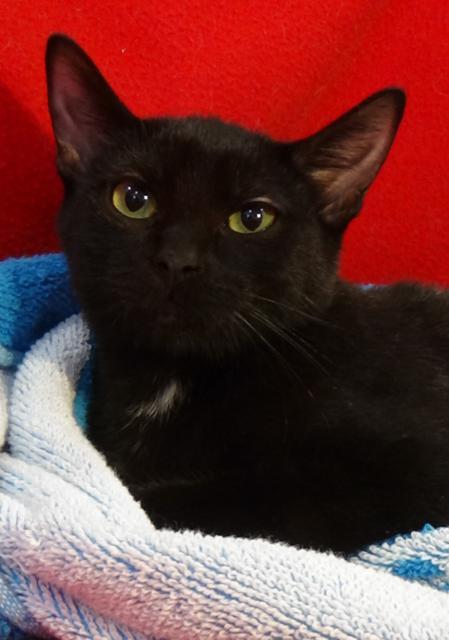 multimedia-foto41130-499-3