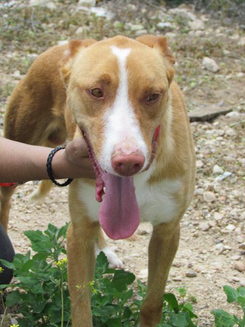 multimedia-foto41176-166-3