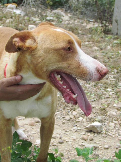 multimedia-foto41177-166-3