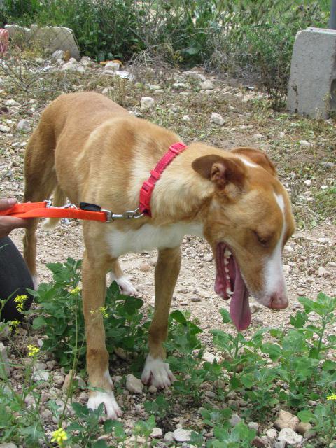 multimedia-foto41178-166-3