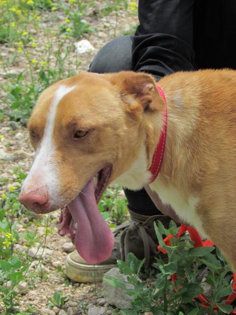 multimedia-foto41179-166-3