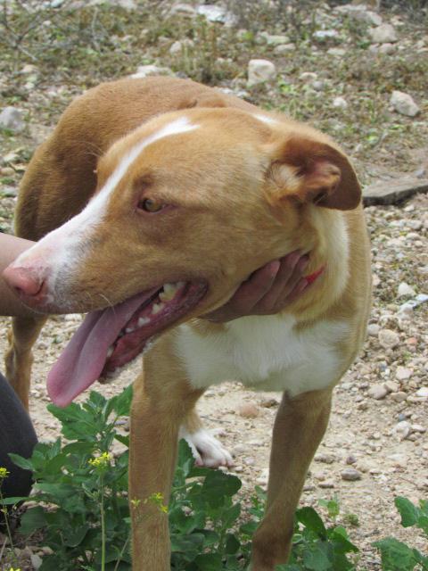 multimedia-foto41180-166-3