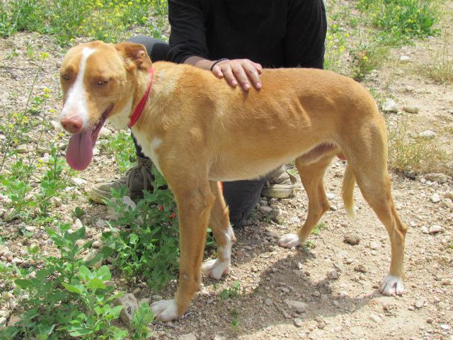 multimedia-foto41181-167-3