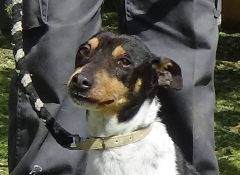 multimedia-foto41183-534-3