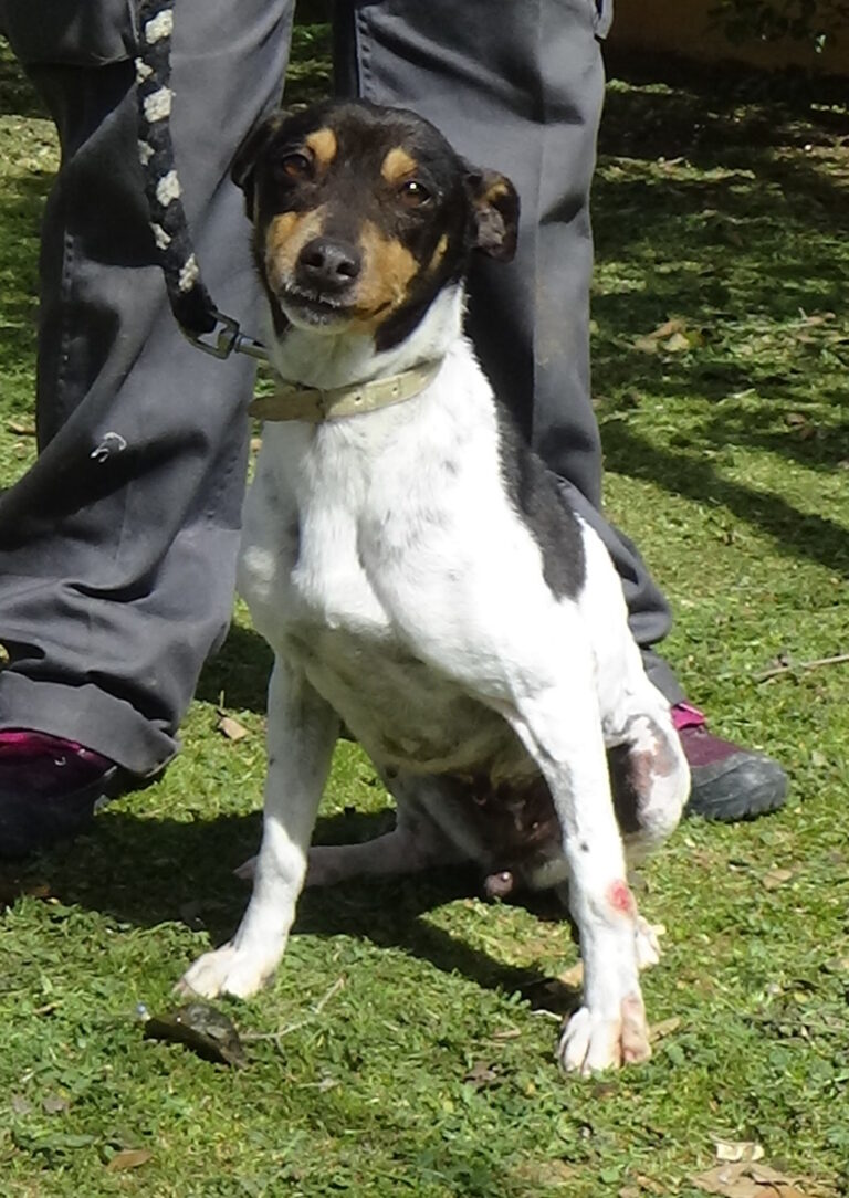 multimedia-foto41184-535-3