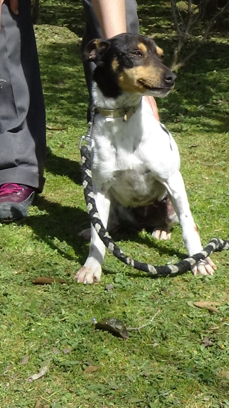 multimedia-foto41185-535-3