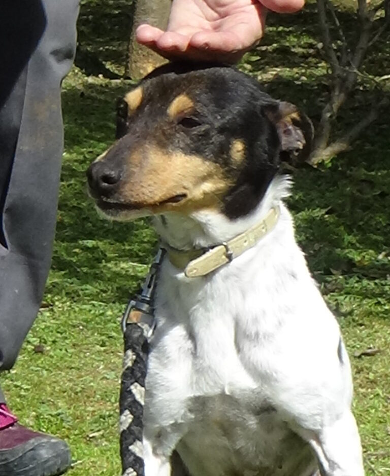 multimedia-foto41186-535-3