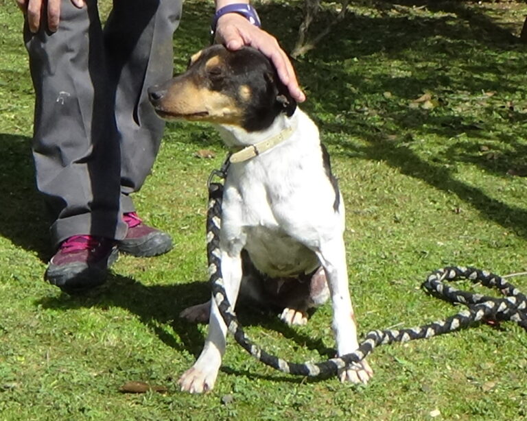 multimedia-foto41187-536-3