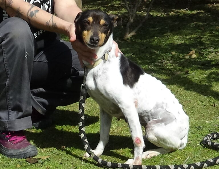 multimedia-foto41188-536-3