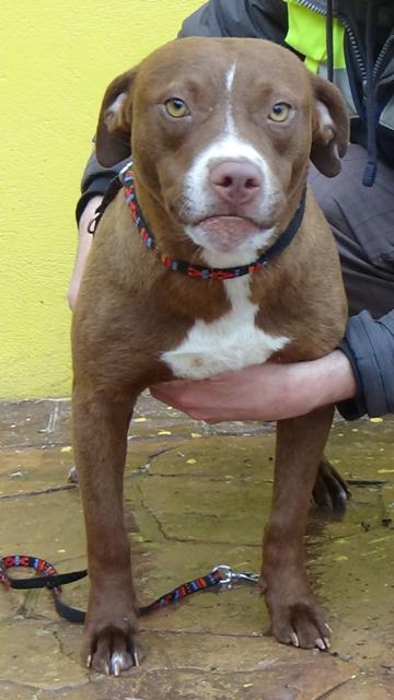 multimedia-foto41190-835-3