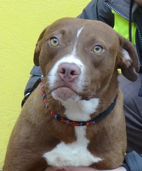 multimedia-foto41191-835-3