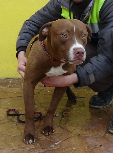 multimedia-foto41192-835-3