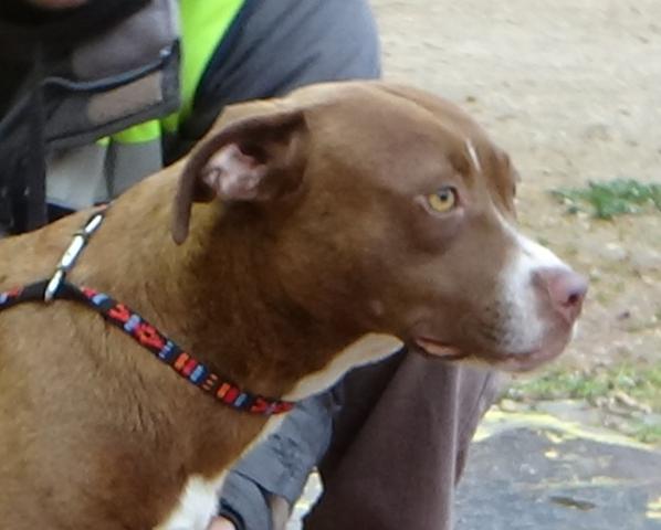 multimedia-foto41195-836-3